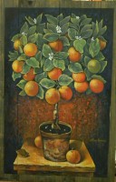 /album/fotogaleria-novedades/a1391999-597331703659298-1060214239-n-jpg/